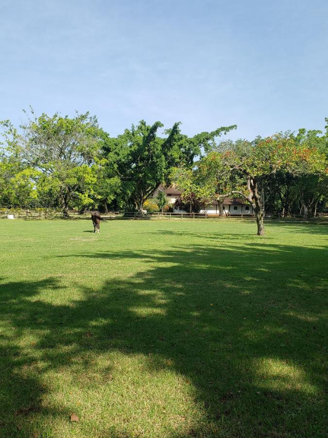 Appartement Vargem Grande 1 - Prox E Cachoeira